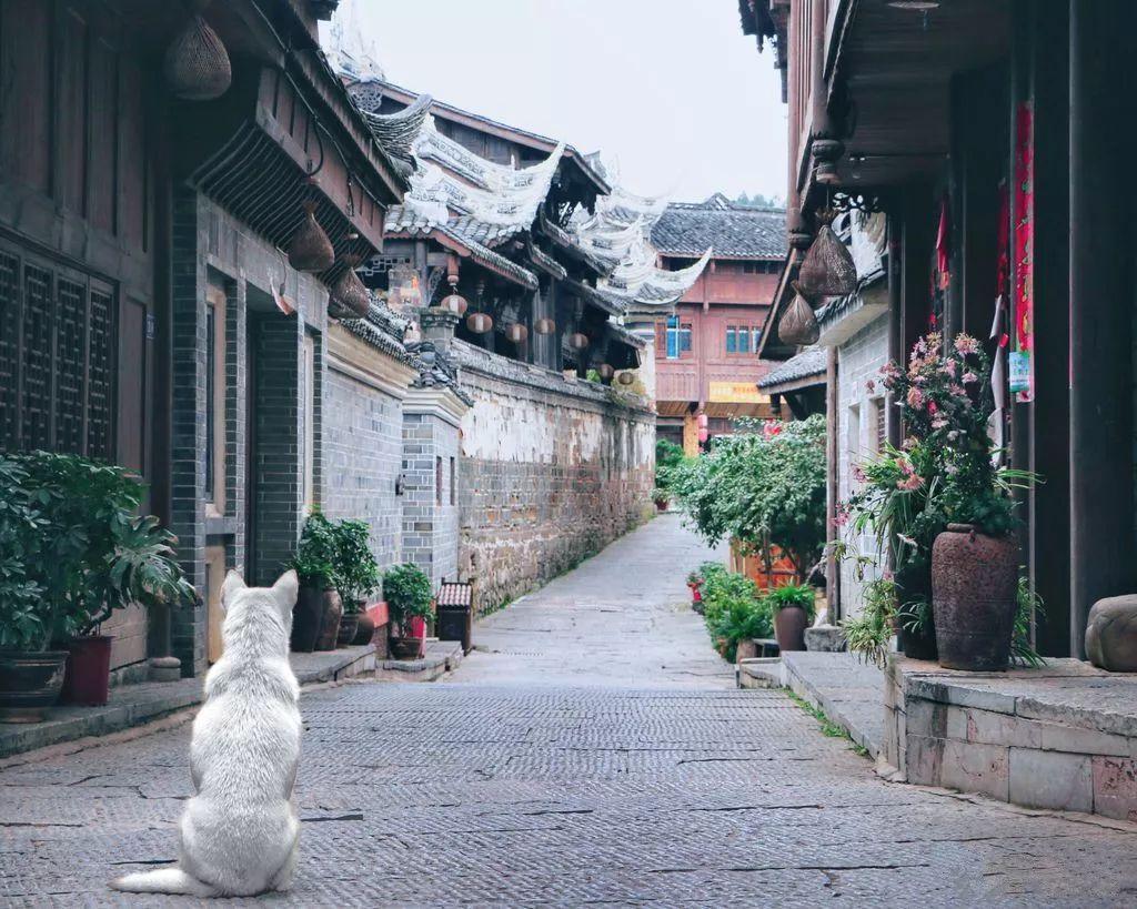 孩子之间的矛盾，家长怎么办？游戏画面